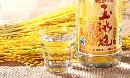 從原料到美酒 小曲大米酒半機械化生產設備與工藝詳解
